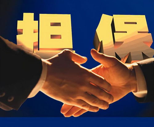 泰安弘澤擔保 勇做服務實體經濟主力軍，破解小微三農融資難題