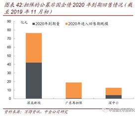 透過城投與非國企債擔保，解析專業擔保公司信用風險跟蹤